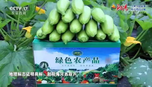 火遍全國(guó)！射陽(yáng)綠色農(nóng)產(chǎn)品宣傳片刷屏央視、江蘇衛(wèi)視黃金時(shí)段