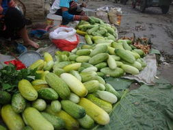 元陽(yáng)縣農(nóng)產(chǎn)品信息網(wǎng) 連接優(yōu)質(zhì)農(nóng)產(chǎn)品與市場(chǎng)的橋梁