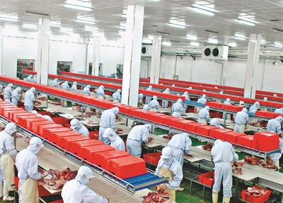 哈爾濱:規上農產品企業量效雙收，現代農業引擎動能強勁