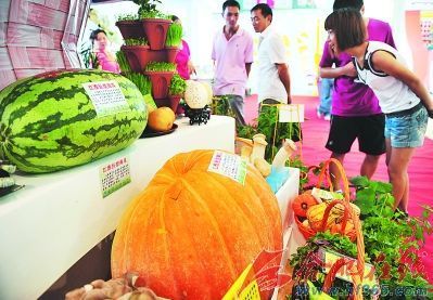 新奇農(nóng)產(chǎn)品提前露芳顏 農(nóng)業(yè)創(chuàng)新引領(lǐng)餐桌新風(fēng)尚