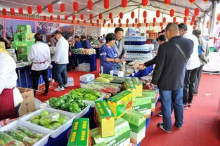 長清首屆農產品展銷暨旅游推介會開幕在即，誠邀您共赴田園盛宴